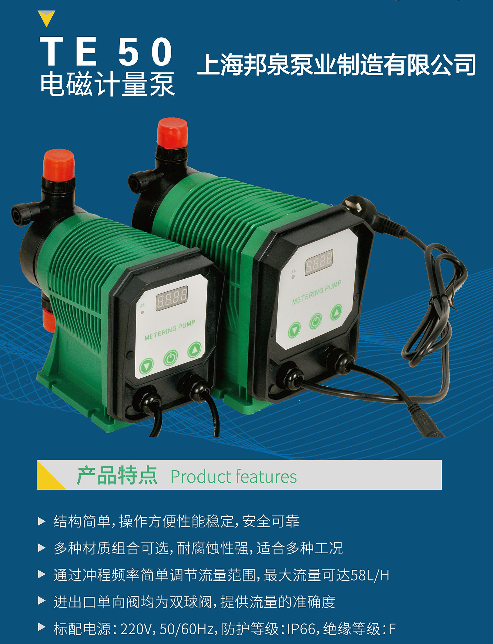 TE50電磁隔膜計(jì)量泵